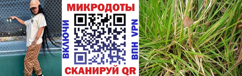 это какой сайт Михайловск Псилоцибиновые грибы Psilocybine cubensis