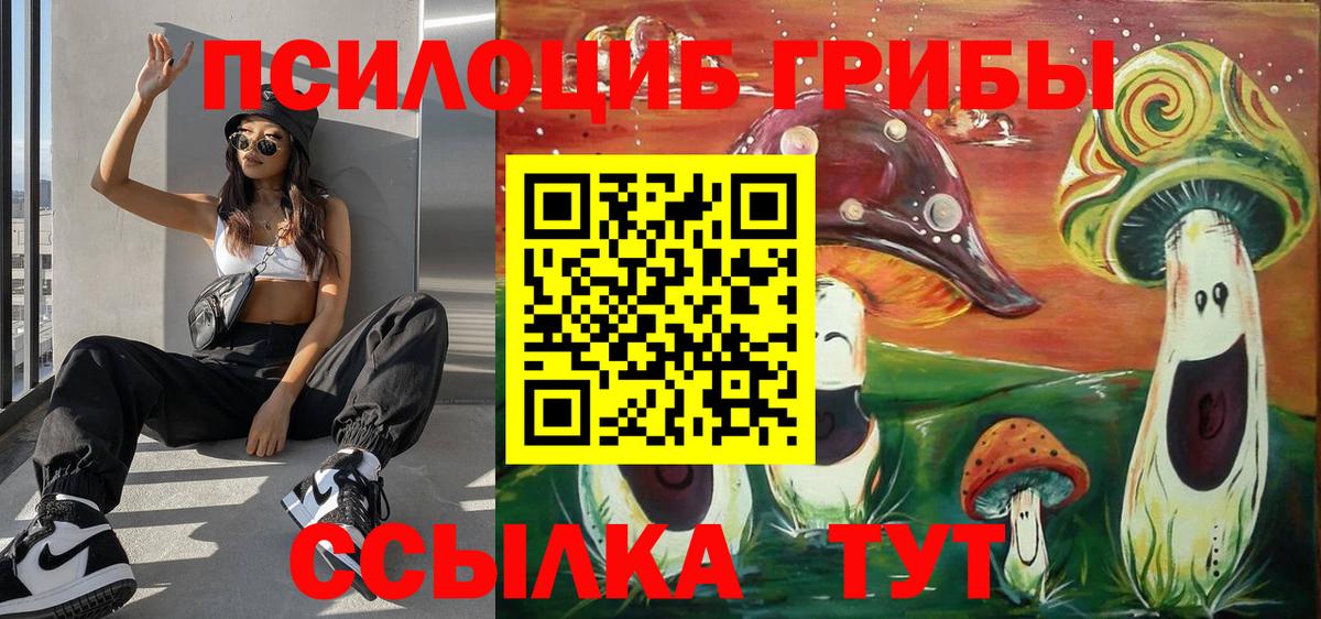 Михайловск  Галлюциногенные грибы ЛСД  Вход с VPN 
